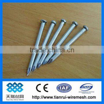 concrete steel nail/nail