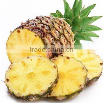 Pineapple Microwave Vacuum Dryer photo-5