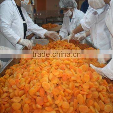 Sterilization Machine photo-3