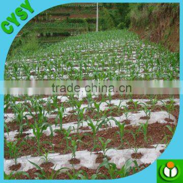 Agricultural Black and White Plastic Mulch Film / Black Mulch Film photo-4
