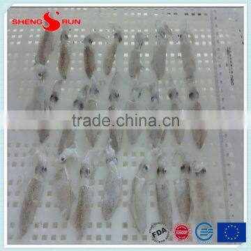 BQF Frozen Baby Loligo Squid photo-6