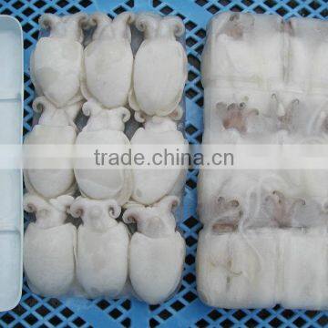 FROZEN WHOLE CLEANED BABY CUTTLEFISH FRESH OF ALO SEAFOOD Co., photo-3