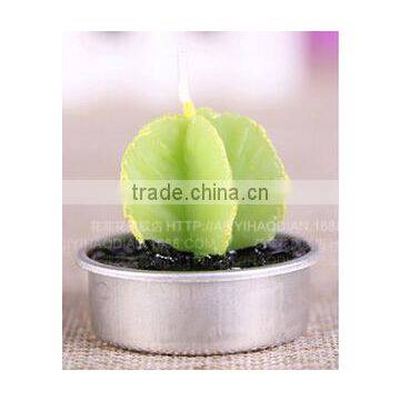 Cactus and Grape Plant Birthday Scented Candle photo-3