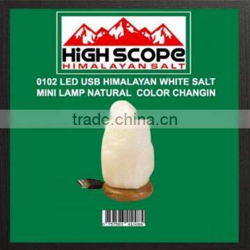 HIMALAYAN WHITE SALT USB POWERED LED MINI LAMP NATURAL SHAPE