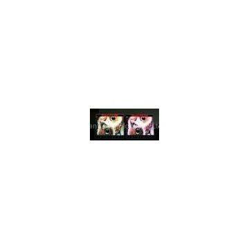 12 bit Color P16 flex led display screen 1R1G1B1W for airport
