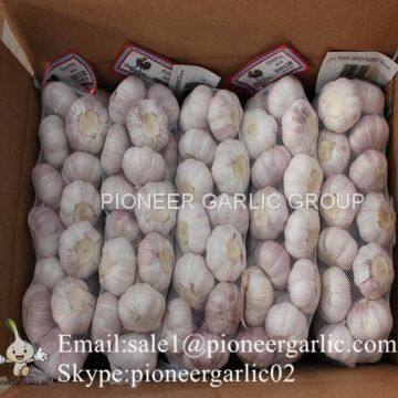 5-5.5cm Fresh Normal White Garlic In 5kg Carton Box Packing photo-4
