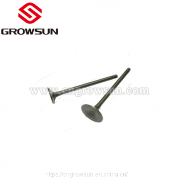 Motorcycle Parts of Cylinder Head Valves for Horse 125