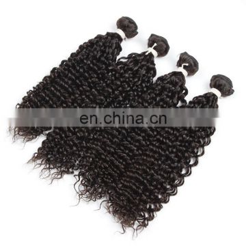 Wholesale 100% Human Virgin Natural Brazilian Curly Weave Human hair extensions