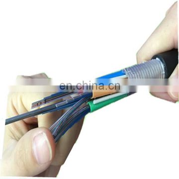 144 96 72 36 48 24 12 Cores GYDTA/GYDTS Outdoor Central Tube Ribbon Fiber Optical Cable