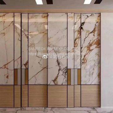 Calacatta Gold Marble for Living Room photo-3