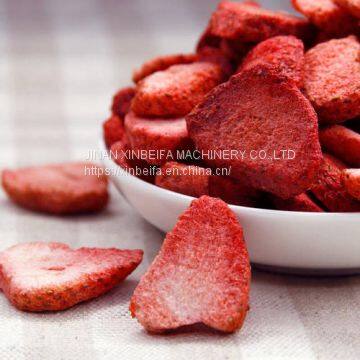Strawberry Drying Machine photo-5