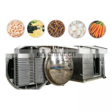 Apple Banana Mango Vacuum Freeze Dryer Papaya Equipment Dry