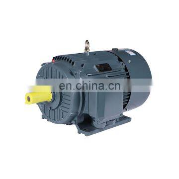 Hot Selling 30kw 2955 Rpm YE2 200L1-2 Three Phase Electric ac Water Pump Motor Made in China photo-4