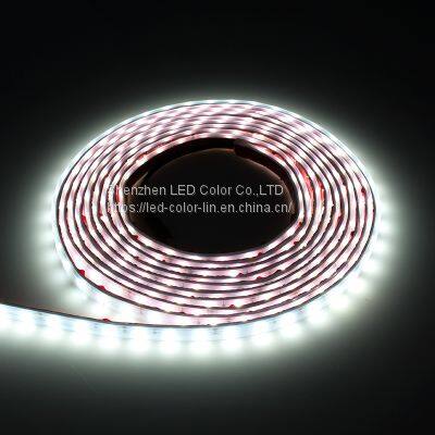 Chinese Manufacturer Normal Waterproof White LED Strip Light With Wifi photo-2