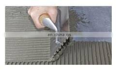 Foshan High Quality Competitive Price Strong Bonding Tile Adhesive photo-4