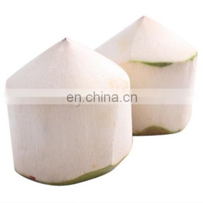 2020 hot sale Coconut shell remover coconut sheller coconut shelling machine