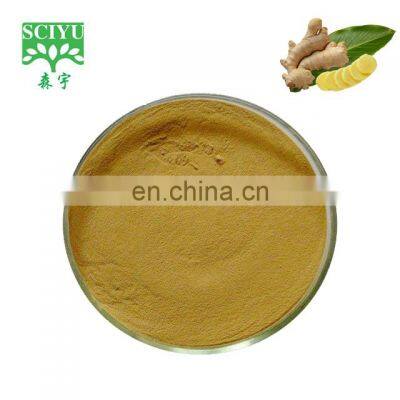 Wholesale best price natural ginger extract powder gingerol 5%-20%