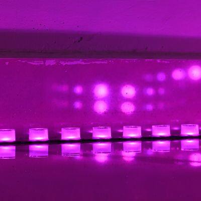 Hihg Brightness Waterproof Flexible Led Wall Washer Light 24V Digital Rgb Colorful Led Wall Washer Strip Light photo-3