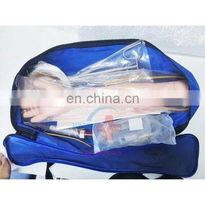 HC-S143 IV Manikin Arm vein puncture training model,medical training model medical blood collection arm training model