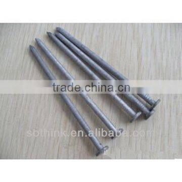 Common Wire Nail iron nail with best quality