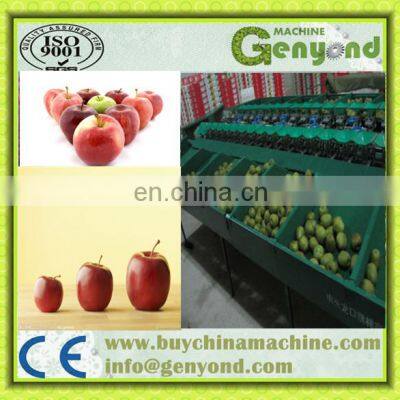 High Productivity Fruit Nuclear Gravity Selector Stoning Machine