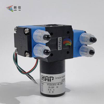 Ceramic Digital Machine Spare Parts HAP NT043KXC-HB600 Diaphragm Double-Head Liquid Pump 24 V Tian Gong Ferrari Parts Brushed Motor Double-Head Pump photo-5