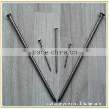 2.5inch Common Iron Nail