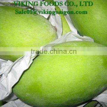 FRESH VIET NAM MANGO HIGHT QUALITY, GOOD PRICE photo-4