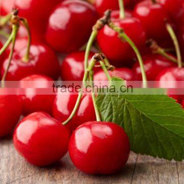 Cherry Kernel Oil