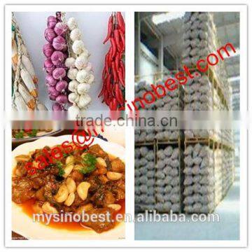 2016 New Crop Chinese Fresh Garlic photo-3