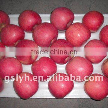 Jingning Qinguan apple