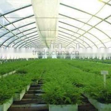 Agriculture Film Ground Cover/Mulch Film/Green House