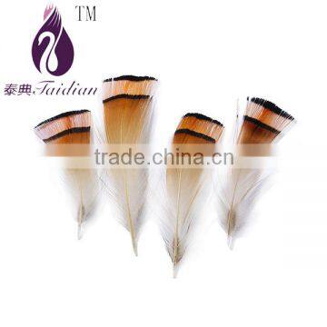 yellow pheasant feathers cheap for sales