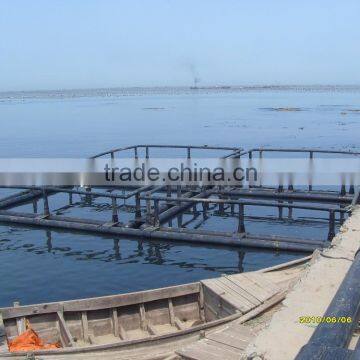 floating cage in lakes or iland sea