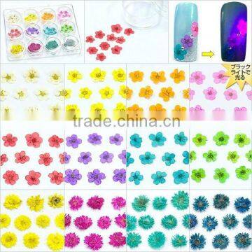 12Color Dried Flower Acrylic Nail Art Tips Decoration HN251