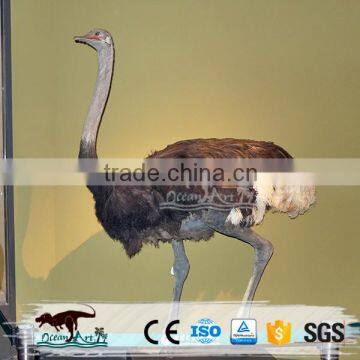 Animatronic ostrich sculpture animal bird model garden stature for display