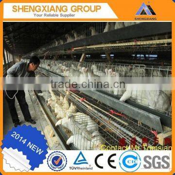 TUV Rheinland chicken poultry cage chicken brooder wire mesh cage automatic broiler chicken cages