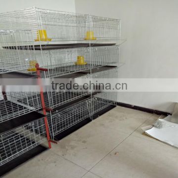 design layer chicken cages/chicken layer cage/ chicken cage for poultry farm for nigeria