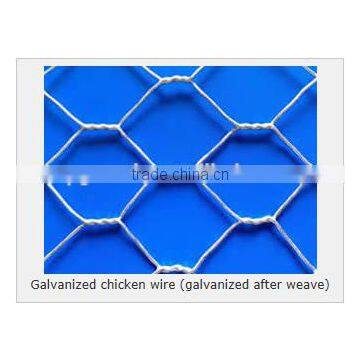 hexagonal mesh (electro galvanized, hot dipped galvanized)