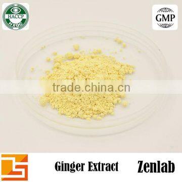 Professional Manufacturer Supply Pure Ginger P.E.