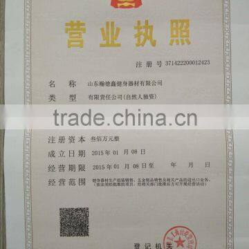 2015 Popular Magnetic Elliptical Cross Trainer, Elliptical Bike With Wheels Cross Trainer Elliptic photo-6