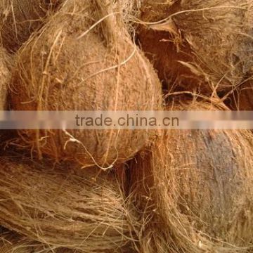 organic fresh/good/best quality semi husked coconuts