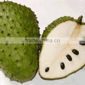 SOURSOP 01