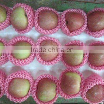 2012 fresh chinese fuji apple