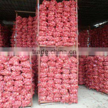 onion price/china origin/high quality