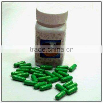 BNP Supply High Quality Reishi Mushroom Capsule photo-2