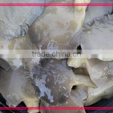 pleurotus ostreatus mushroom in brine from new crop