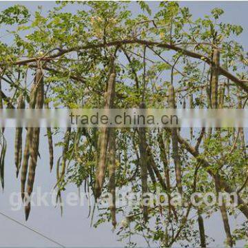 Mucuna Puriens Seed Penis Enlargement Sex Time Delay Capsule New 2016 photo-2