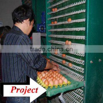 TAIYU Automatic Chicken Egg Collecting System