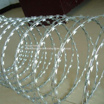 Concertina Razor Ribbon Barbed Wire Fence Razor Wire